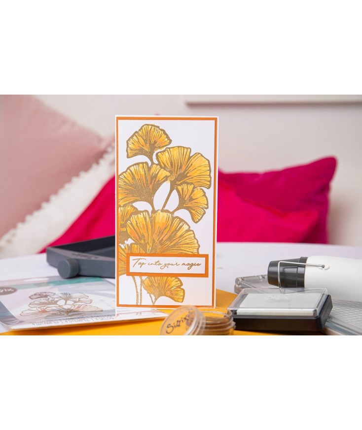 Juego de sellos transparentes Inspire